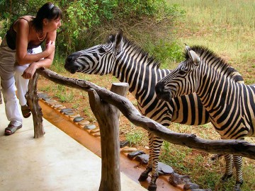 Madikwe Game Reserve Safari